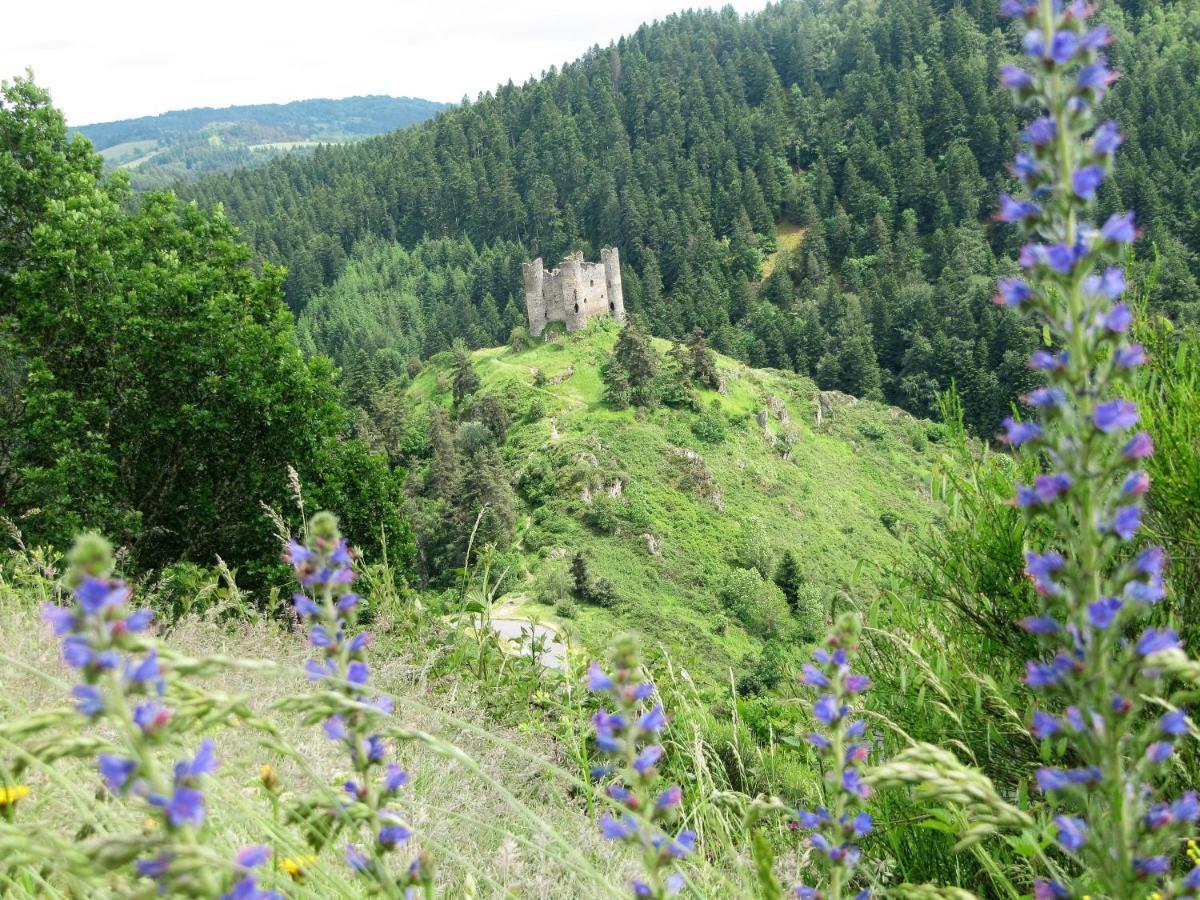 Hotel Des Rochers Марвежоль Екстер'єр фото